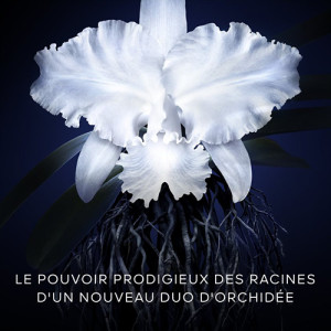 Orchidée Impériale - La Crème Légère 5ème Génération
